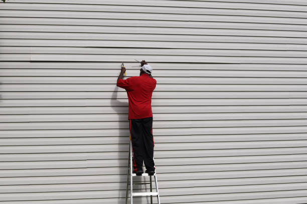 Best Vinyl Siding Installation  in Vandalia, MO